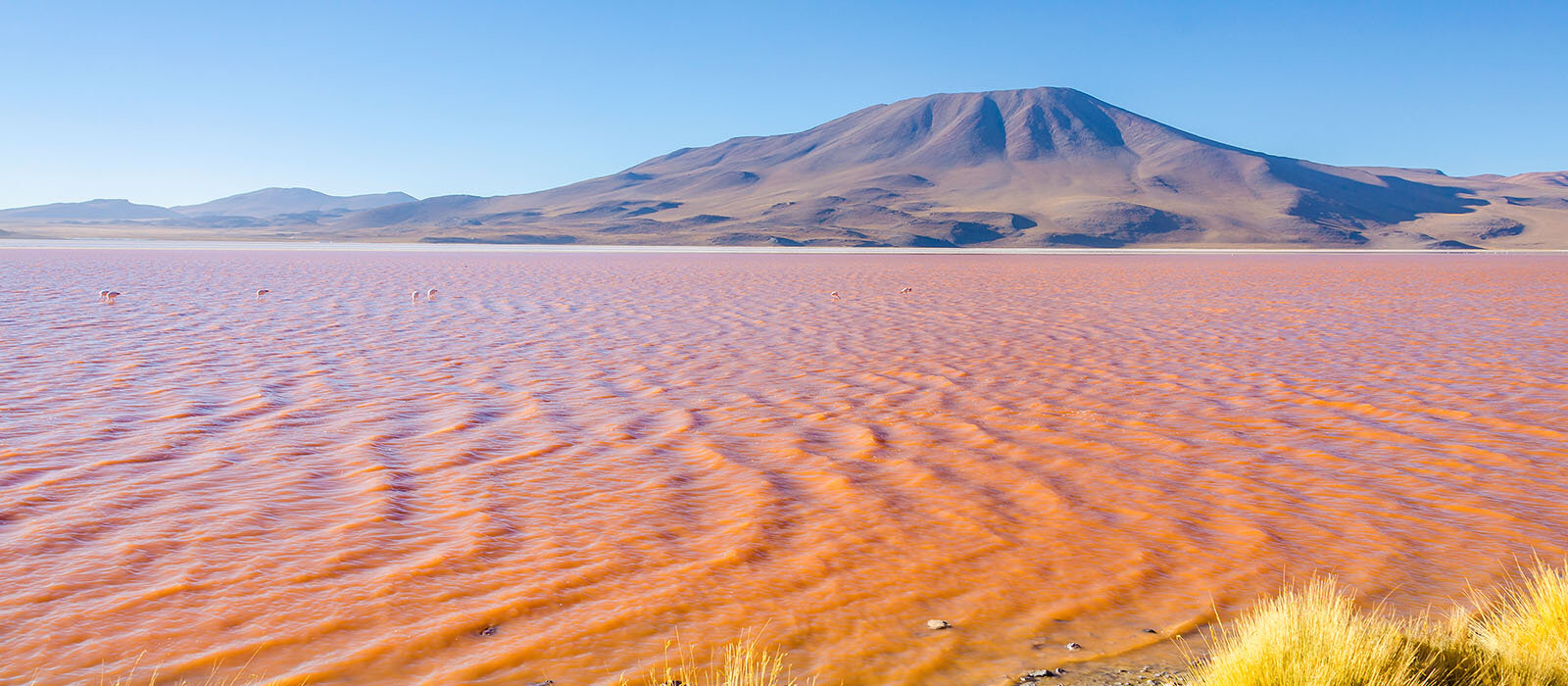 Grand Tour Uyuni & Sud Lipez