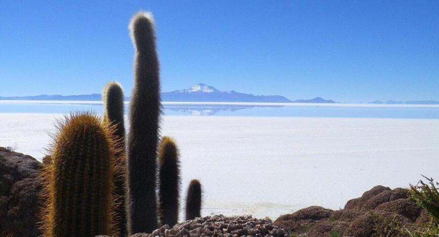 La Bolivie pour Globe-Trotteurs