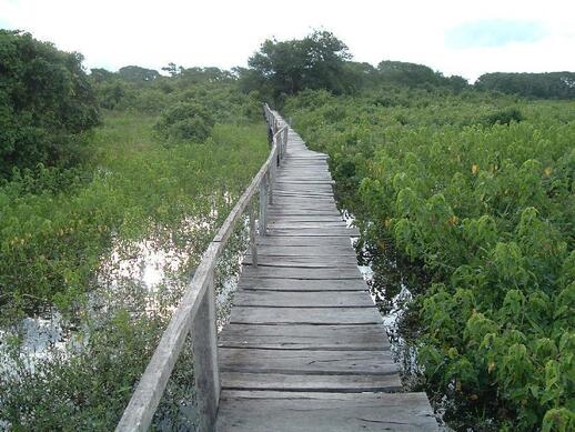 Pousadas do Pantanal Nord