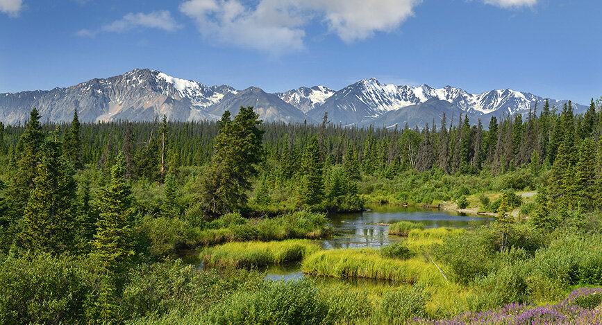 Parc National Kluane au Yukon dans le Grand Nord du Canada