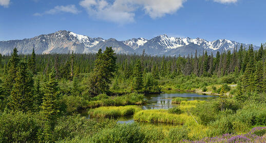 Parc National Kluane au Yukon dans le Grand Nord du Canada