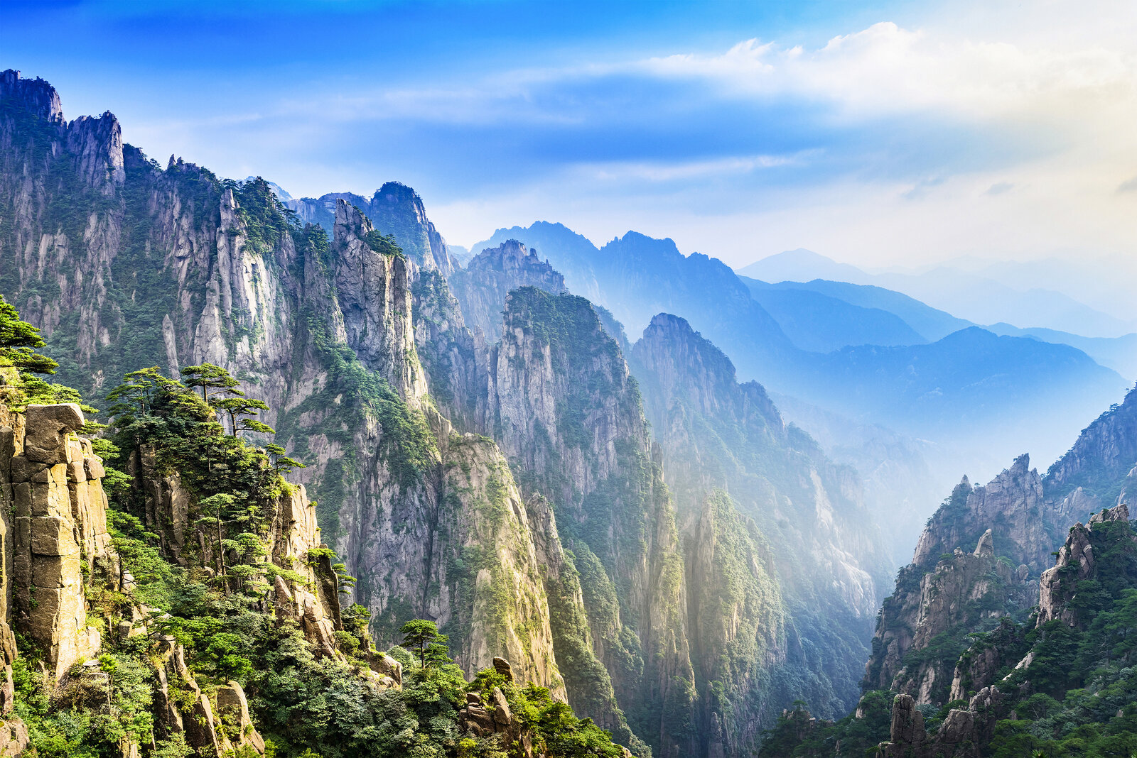 ©Istock - aphotostory