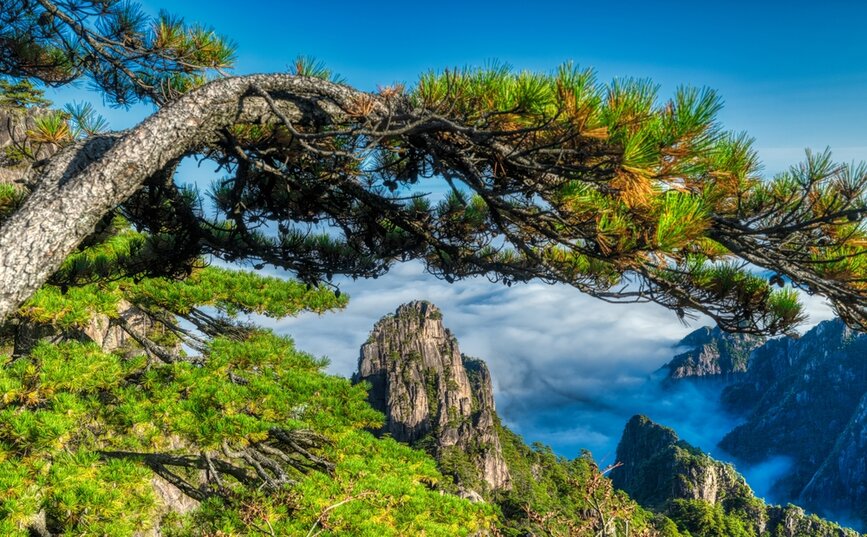 © Shutterstock - Tao Jiang