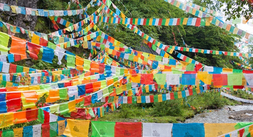 Explorez la majestueuse vallée de Ringha au Yunnan