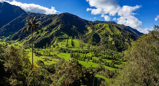 Vallée du café en Colombie