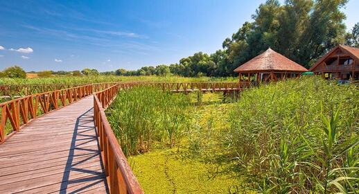 Kopacki Rit parc naturel, Slavonie, Croatie.