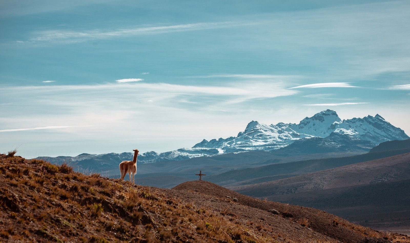 Equateur au volant