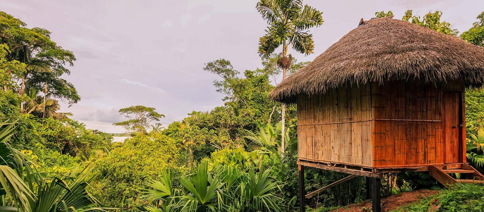 Parc de Yasuni