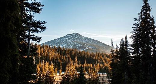 © McKayla Crump / Unsplash Bend