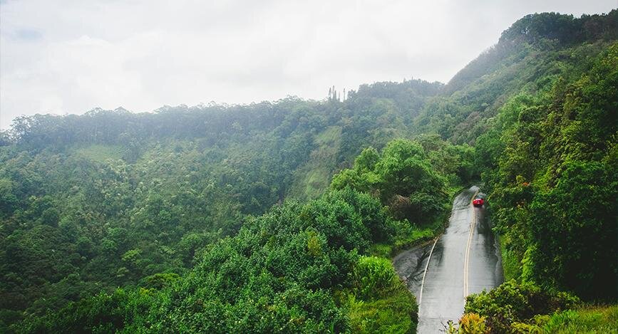 Route pour Hana, Maui, USA.