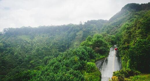 Route pour Hana, Maui, USA.