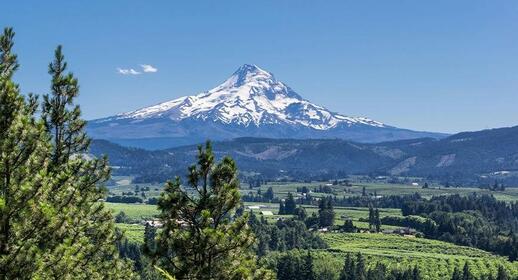 © James Morden / Unsplash Mount Hood