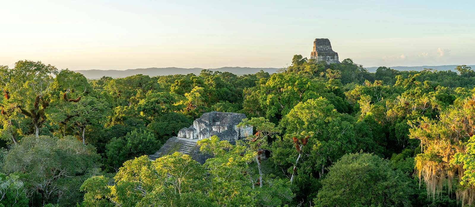 Site de Tikal au Guatemala