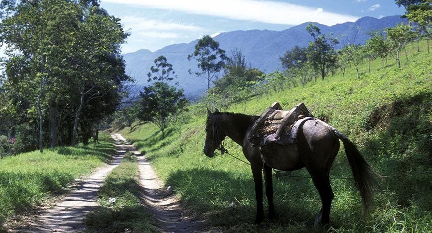 Montagnes Gracias, Honduras.