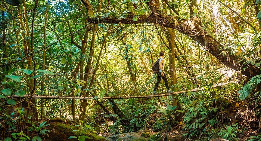 Parc national de Cerro Azul Meambar (Panacam) à Yojoa. Honduras