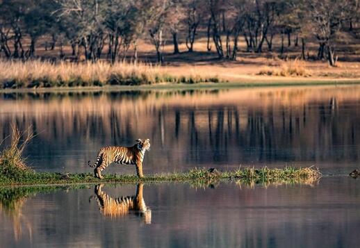 Le Parc National de Ranthambore