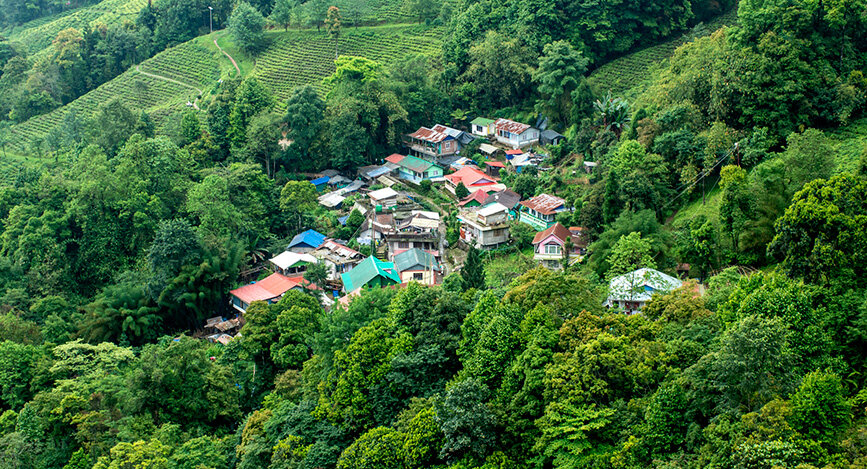 Paysage du Bengale en Inde