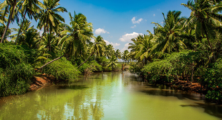 Paysage du Tamil Nadu en Inde