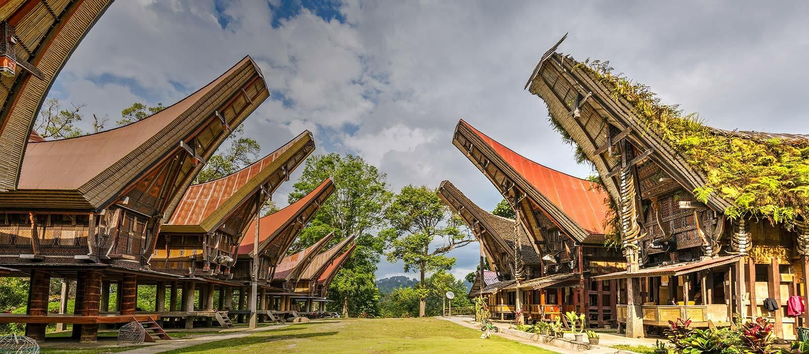 Immersion en pays Toraja - Sulawesi