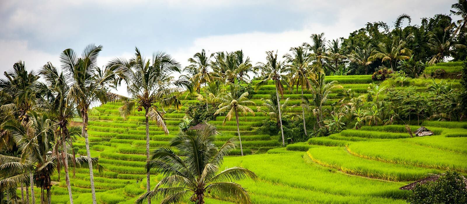 Lumières sur Bali