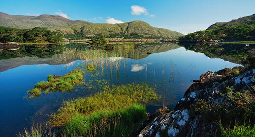 Parc National de Killarney en Irlande