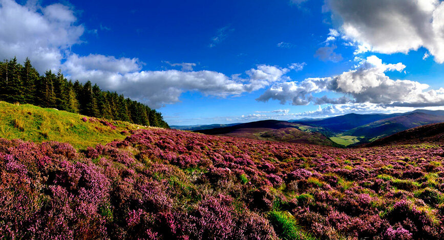 Parc National des montagnes de Wicklow en Irlande