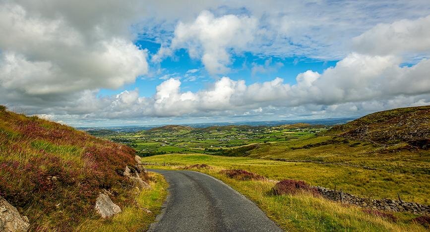 Cooley, Louth, Irlande.