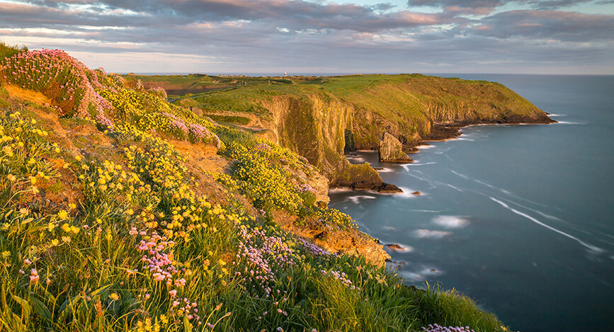 Péninsule de Kinsale proche de Cork en Irlande