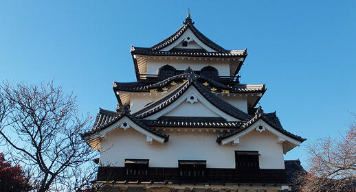 Château de Hikone et de son jardin Rakurakuen