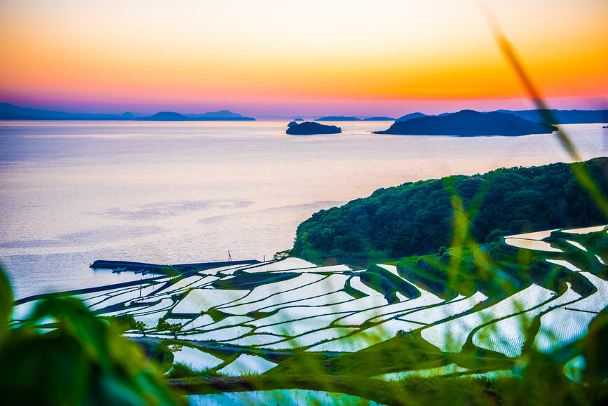 Rizières en terrasses de Hamanoura sur la Péninsule de Higashimatsura