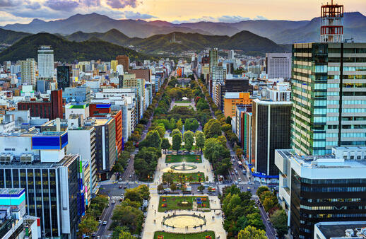Vue panoramique de la ville de Sapporo depuis la Tour de Télévision