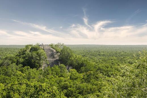 Découvrez la cité maya de Calakmul (UNESCO)