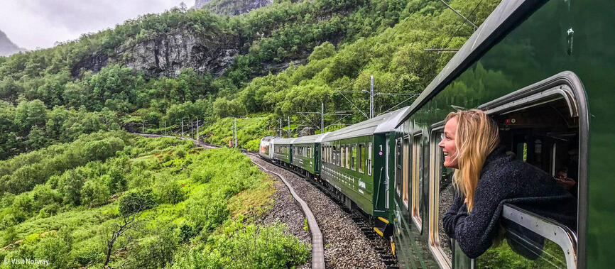 Flåmsbana train panoramique en Norvège