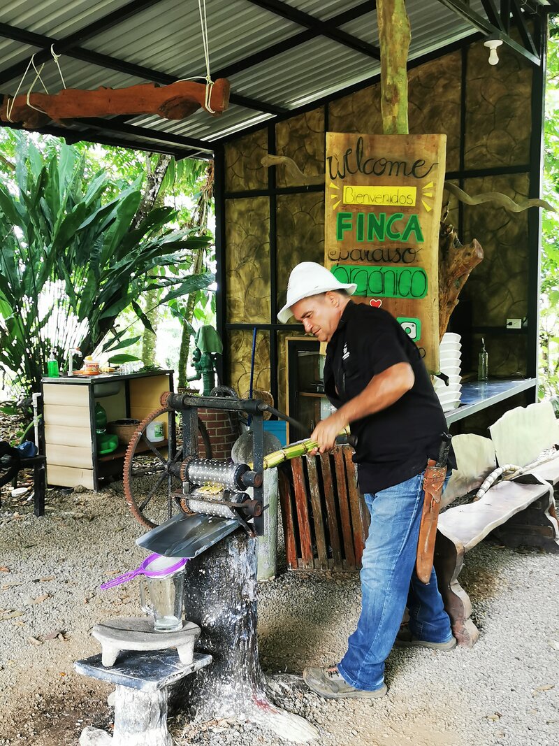 Finca au Costa Rica