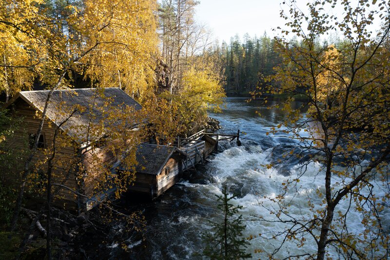Oulanka parc national