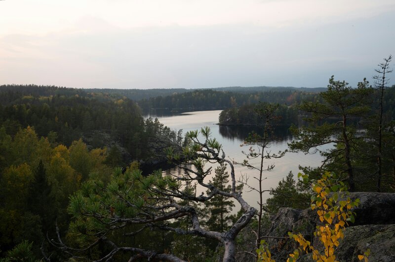 Repovesi parc national
