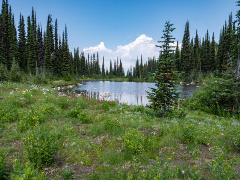 Lac Balsam au Canada