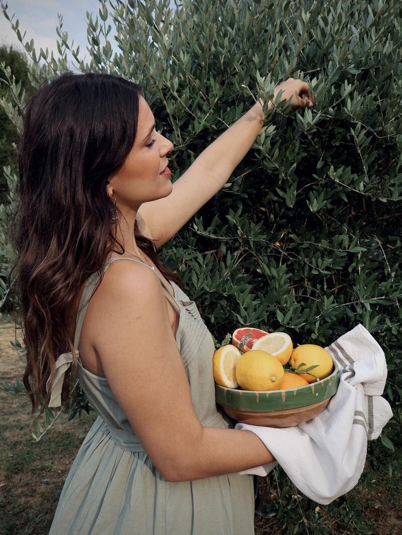 Ramassage des olives en Italie