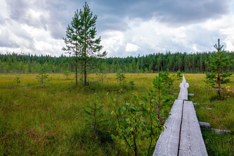 Pyhä-luosto parc national