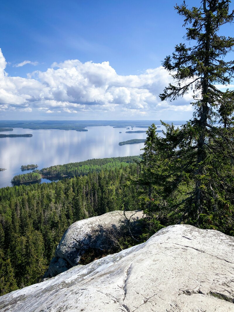 Koli parc national