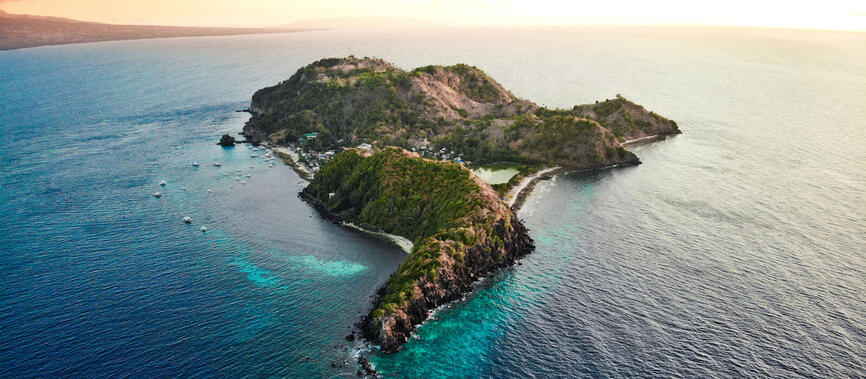 Apo Island
