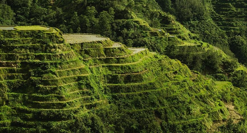 Banaue Batad Rizi res En Terrasses De Luzon Aux Philippines banaue-batad-rizi-res-en-terrasses-de-luzon-aux-philippines