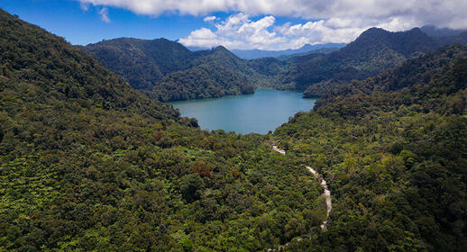 © Istock - Wirestock Balinsasayao Twin Lakes, Negros Island