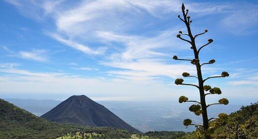 Volcan Izalco, El Salvador.