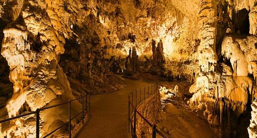 Grotte de Postojna