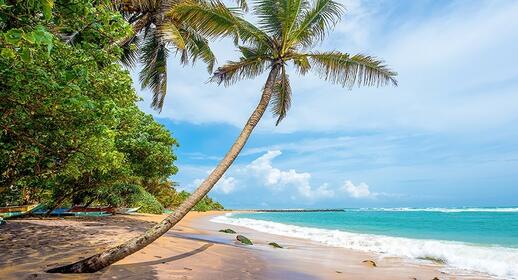 Plage de Mirissa sur la Côte Sud du Sri Lanka