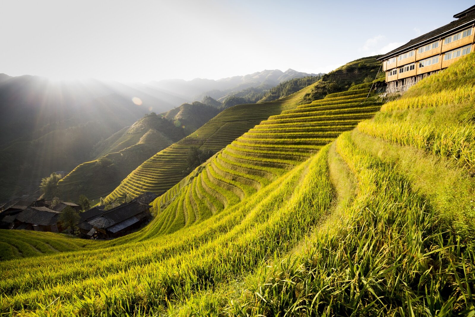 Rizières en terrasses de Longji