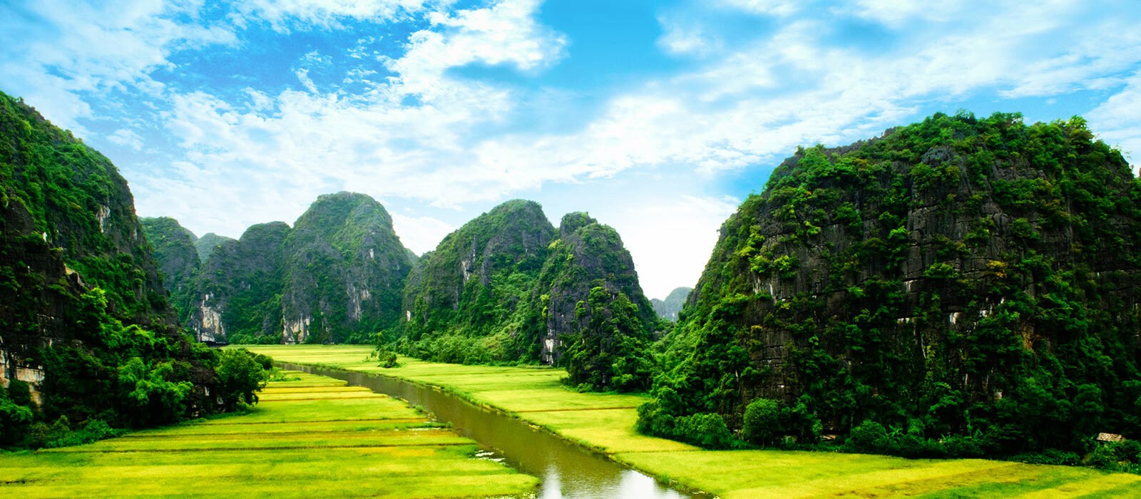 Vietnam grandeur nature