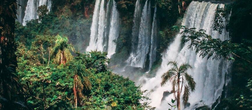 Circuit Brésil : Chutes d'Iguacu (UNESCO)