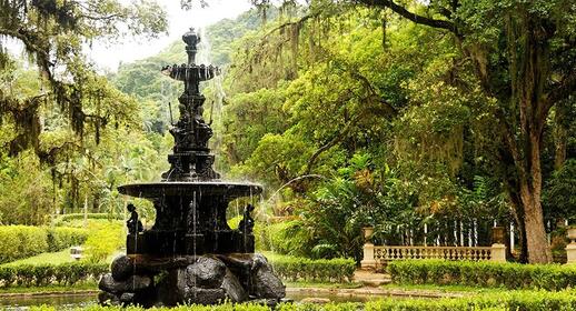 Visiter Jardim Botanico